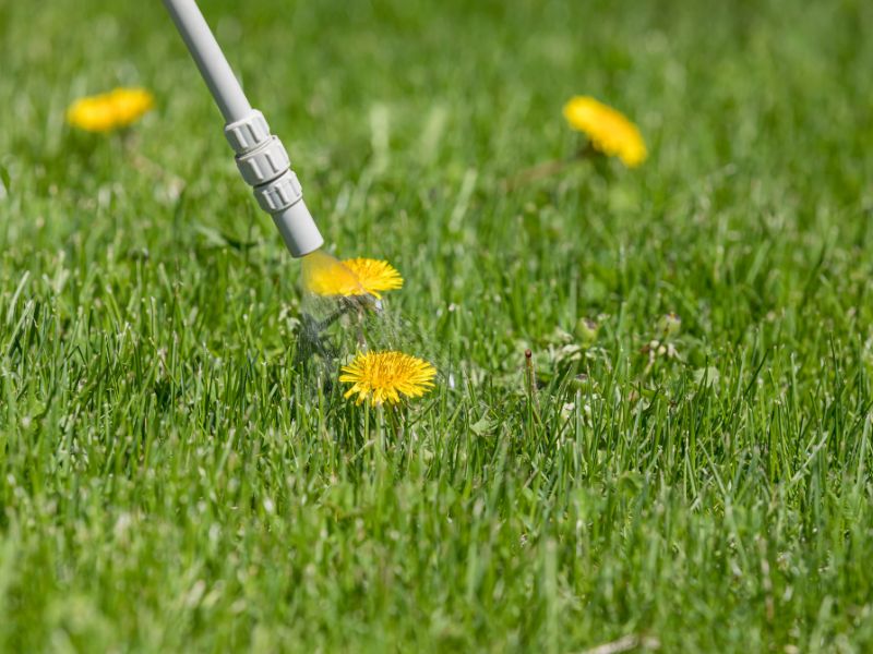 weed control services palm springs ca