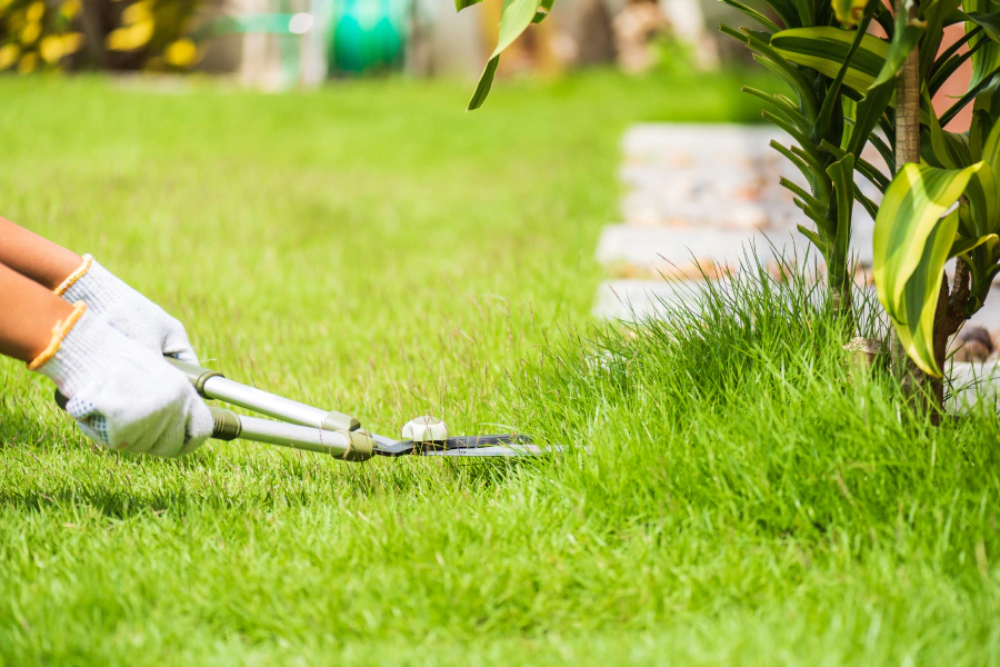 lawn maintenance services yucca valley ca